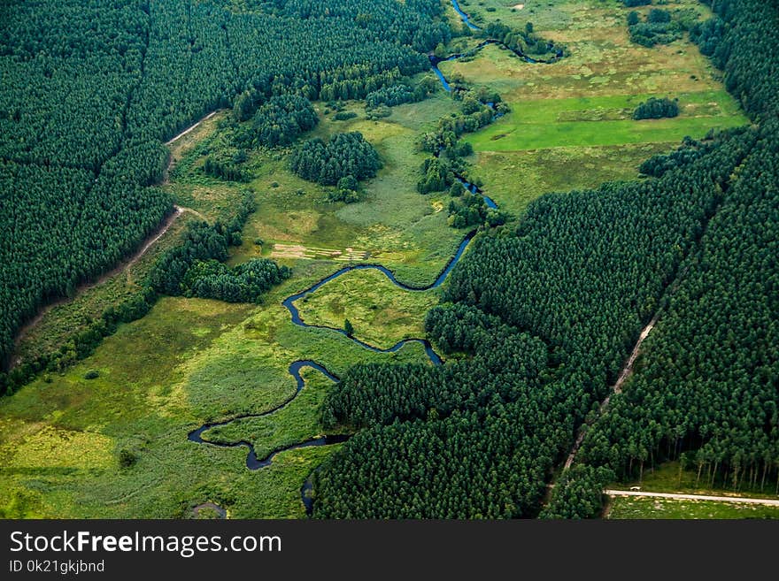 Vegetation, Nature Reserve, Ecosystem, Highland