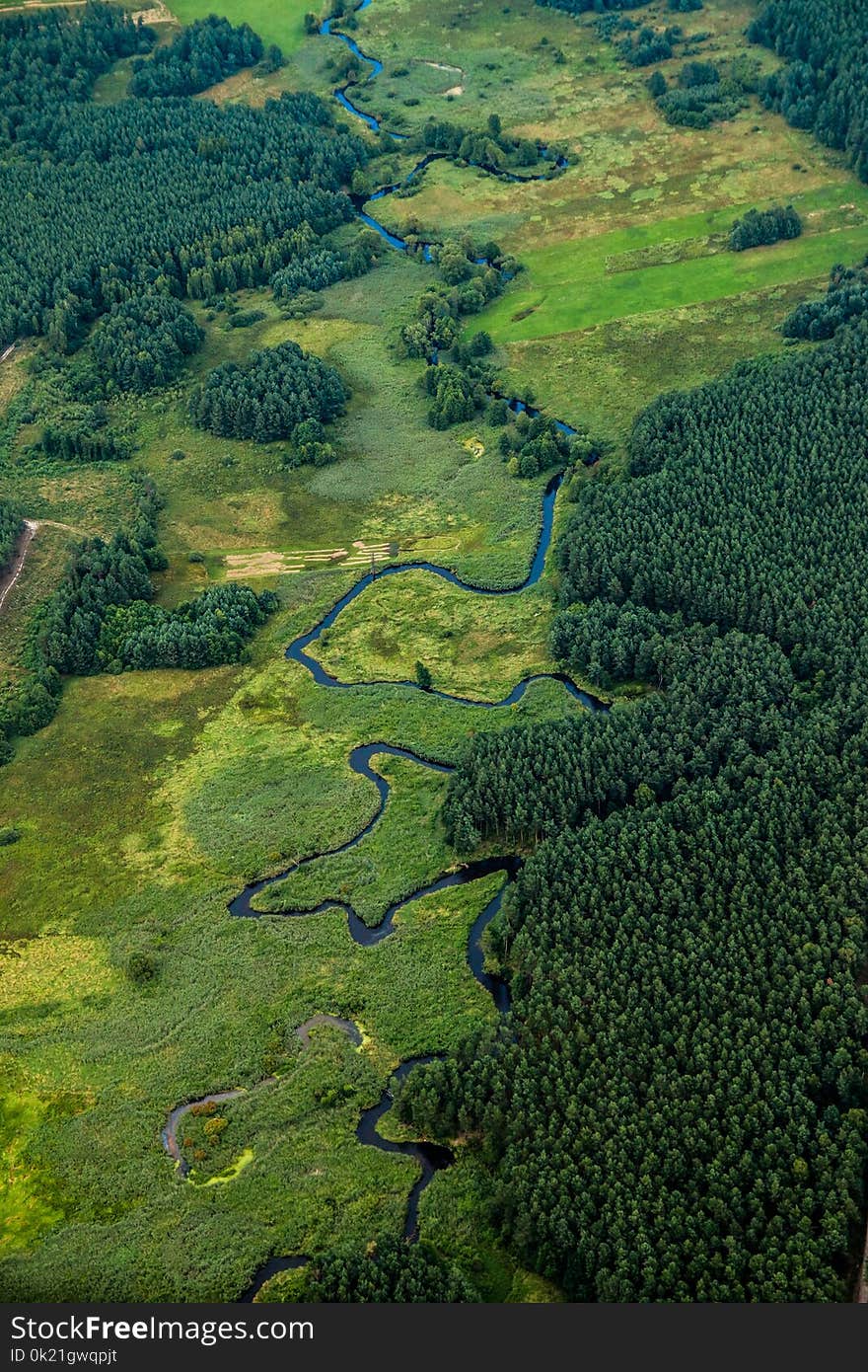 Vegetation, Green, Aerial Photography, Ecosystem