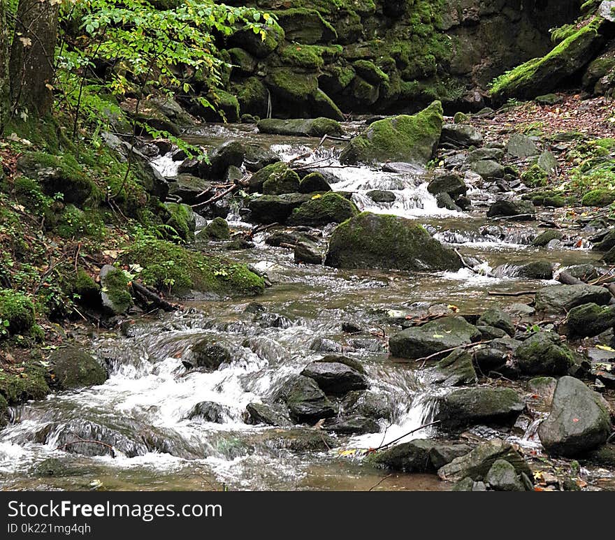 Stream, Water, Nature, Body Of Water