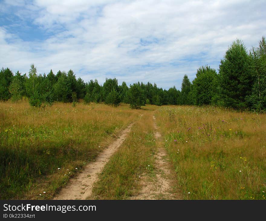 Path, Ecosystem, Road, Grassland