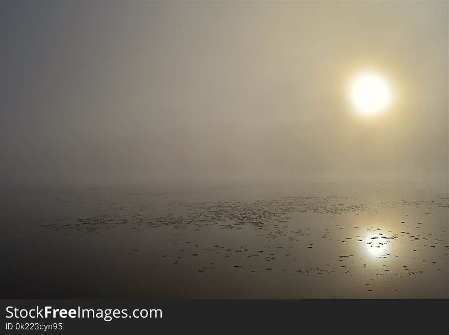 Fog, Mist, Atmosphere, Calm