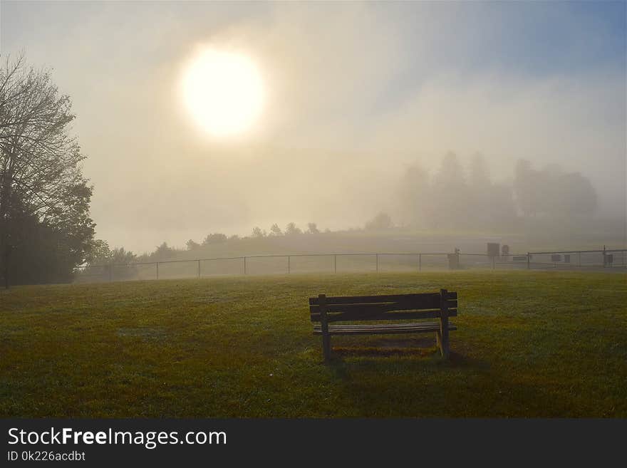 Mist, Fog, Field, Morning