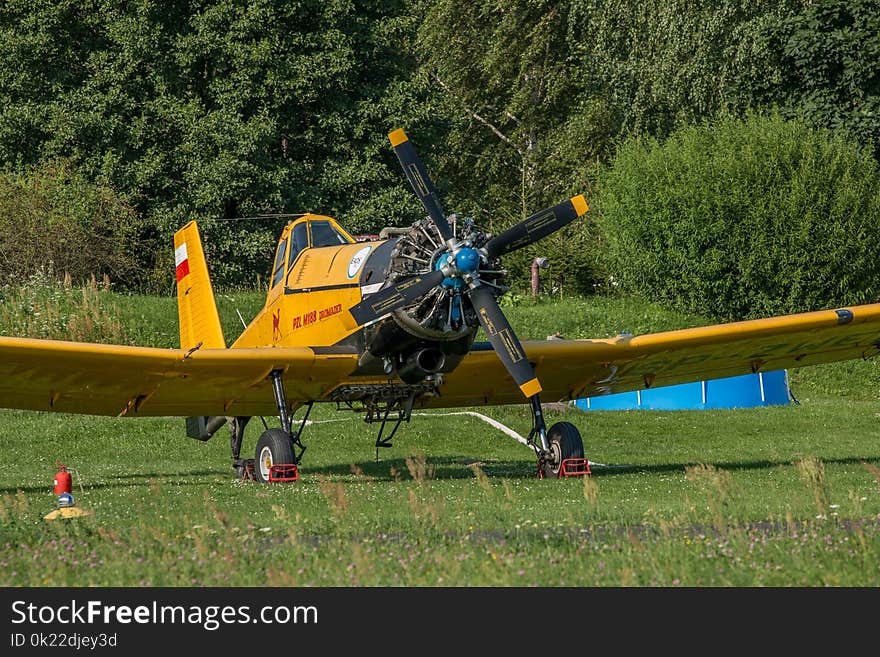 Aircraft, Model Aircraft, Plant, Monoplane