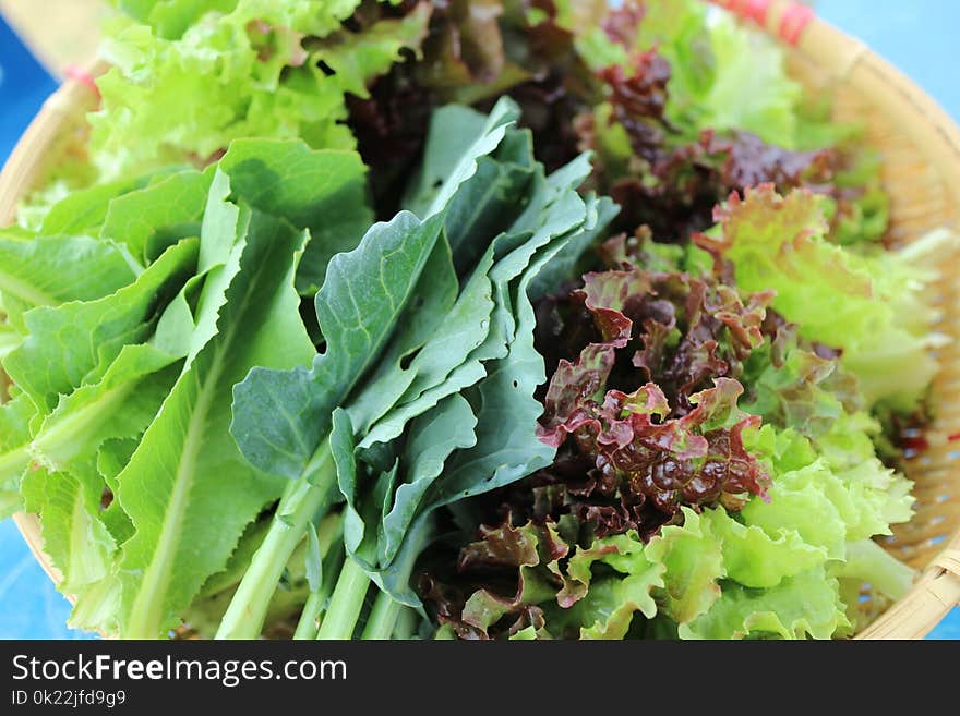 Leaf Vegetable, Dish, Vegetable, Vegetarian Food