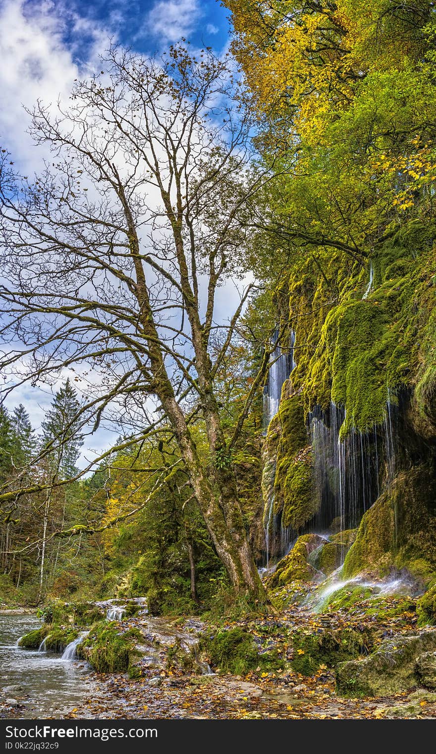 Water, Nature, Vegetation, Tree