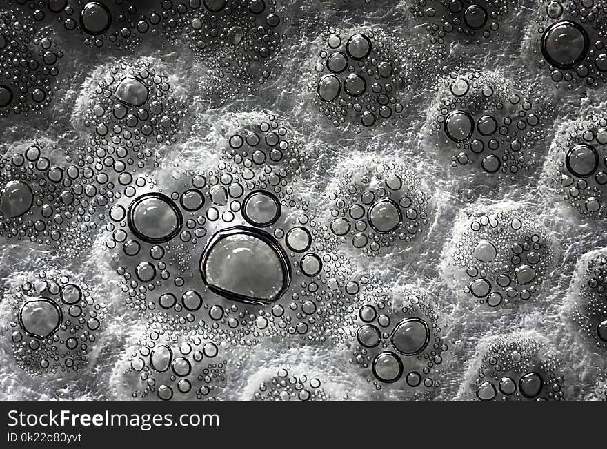 Water, Black And White, Monochrome Photography, Organism