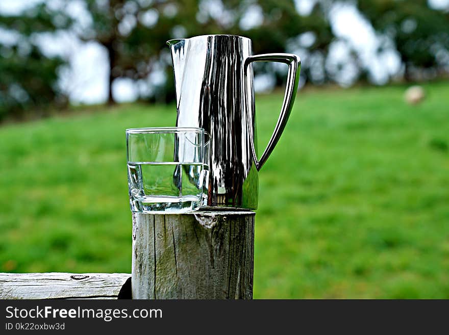 Grass, Water, Grass Family, Drinkware