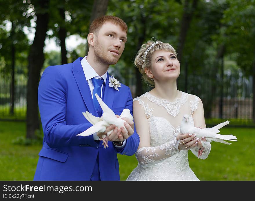 Photograph, Woman, Bride, Wedding