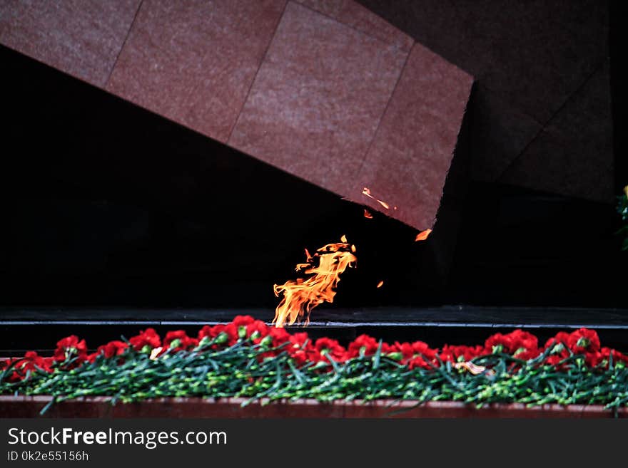 Lots of carnation flowers and the Eternal flame on the black background on a Victory Day as a symbol of memory of dead warriors