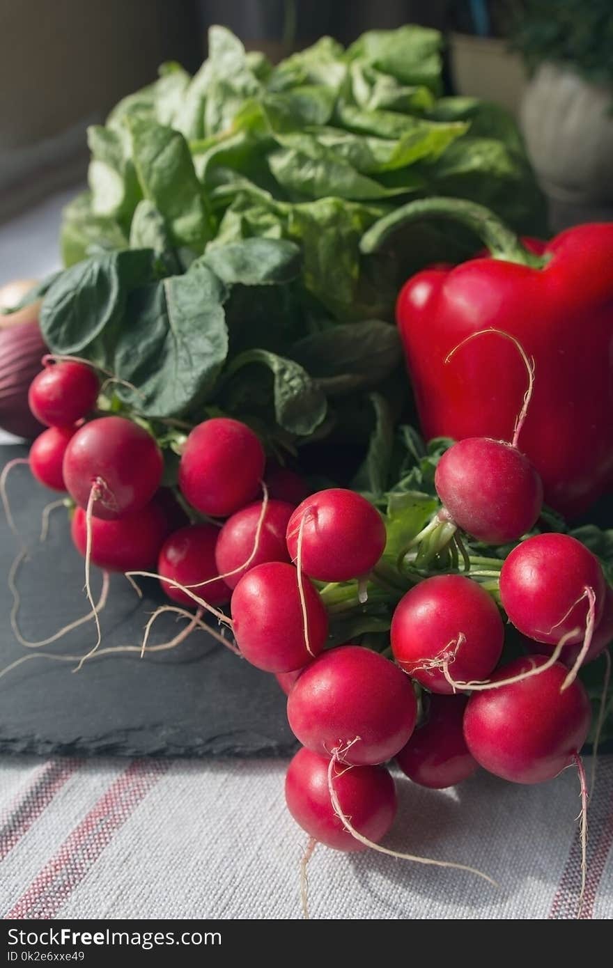 Ingredients for springtime, nutritious and healthy salad