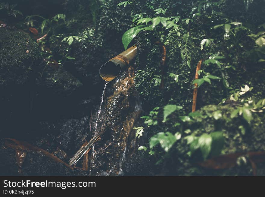 Shallow Focus Photography of Water Drop Surrounded by Plants