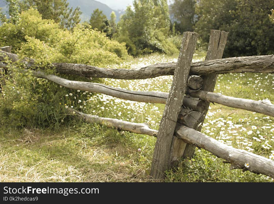 The wood fence