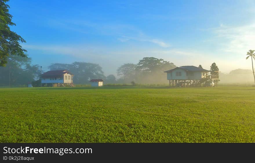 Grassland, Field, Farm, Sky