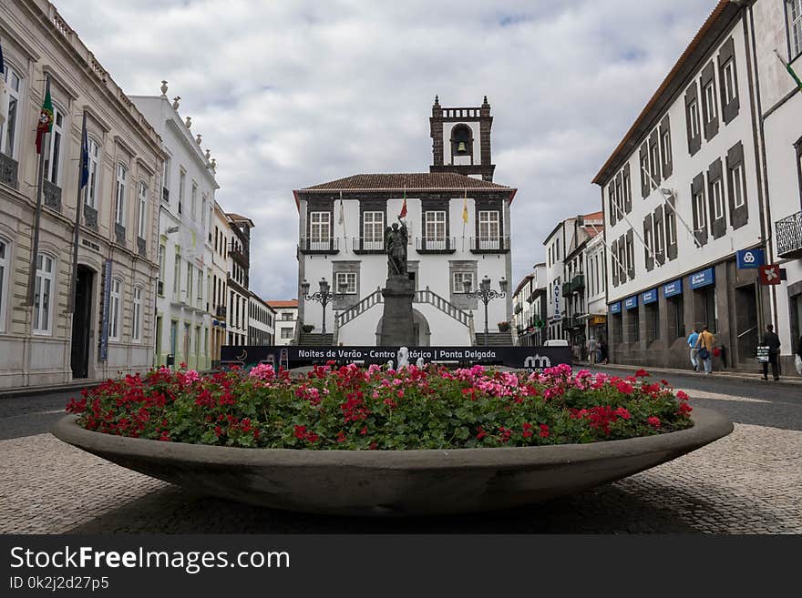 Town, Town Square, City, Flower