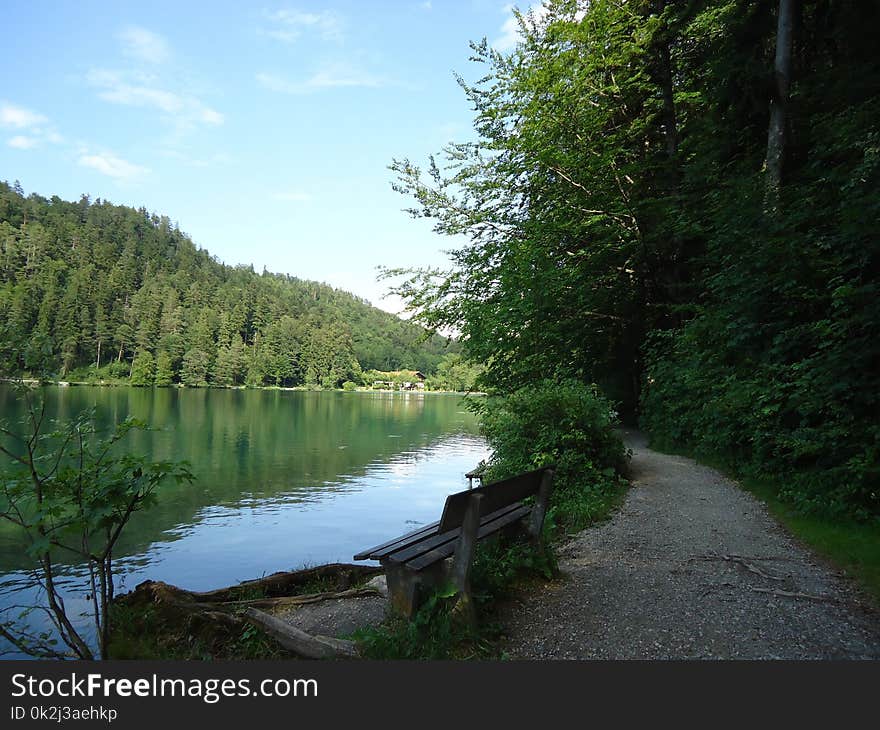 Nature, Water, Nature Reserve, Waterway