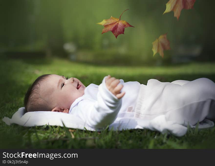 Child, Infant, Grass, Leaf