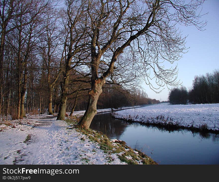 Winter, Waterway, Tree, Snow