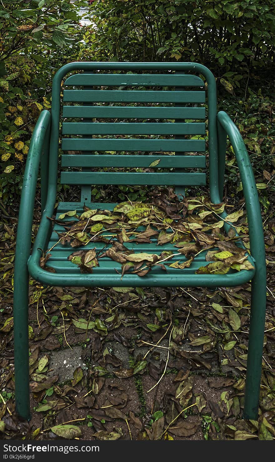 Green, Furniture, Chair, Grass