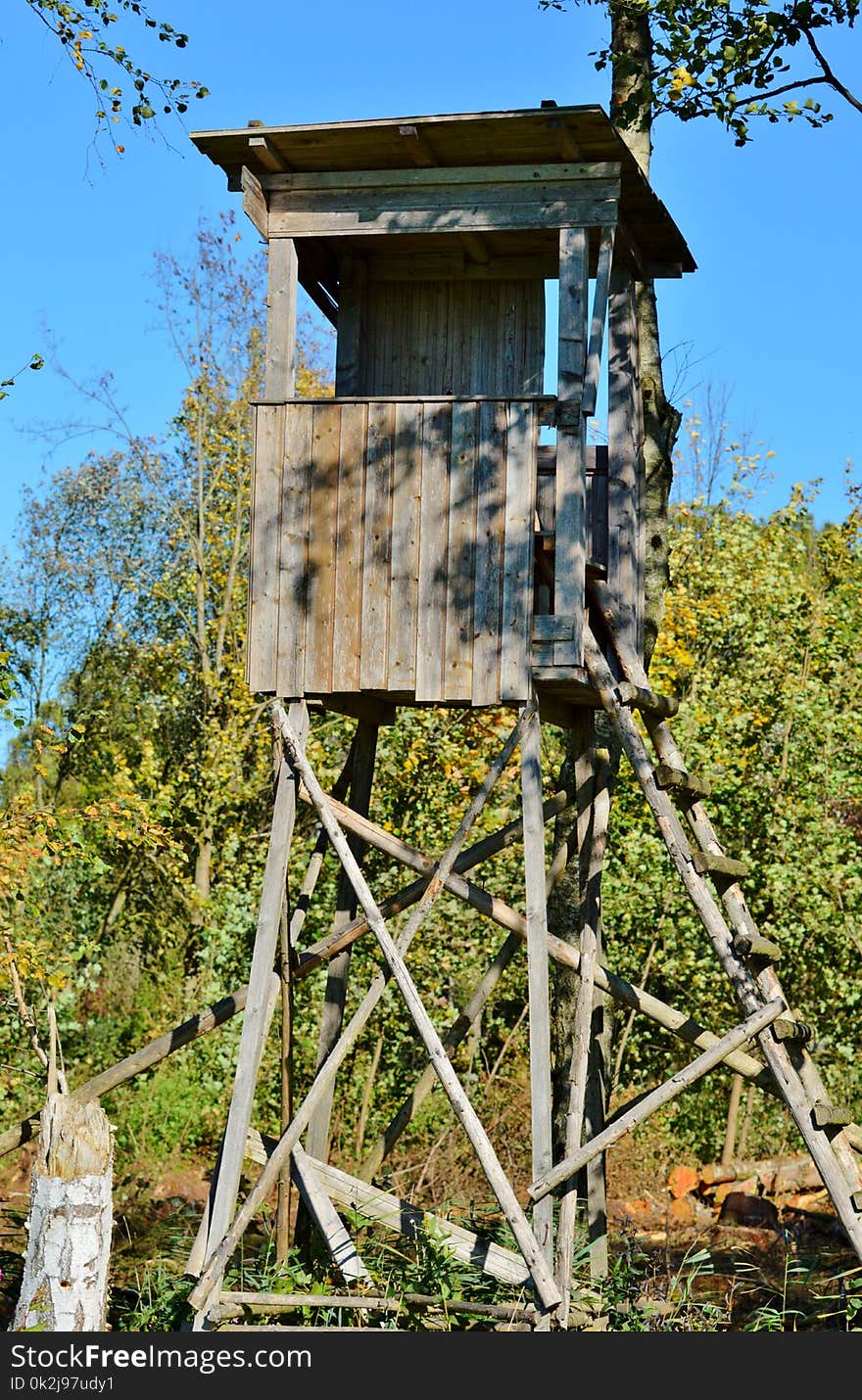 Tree Stand, Tree, Outdoor Structure, Outhouse