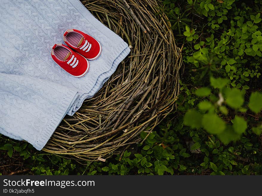 Grass, Bird Nest, Tree