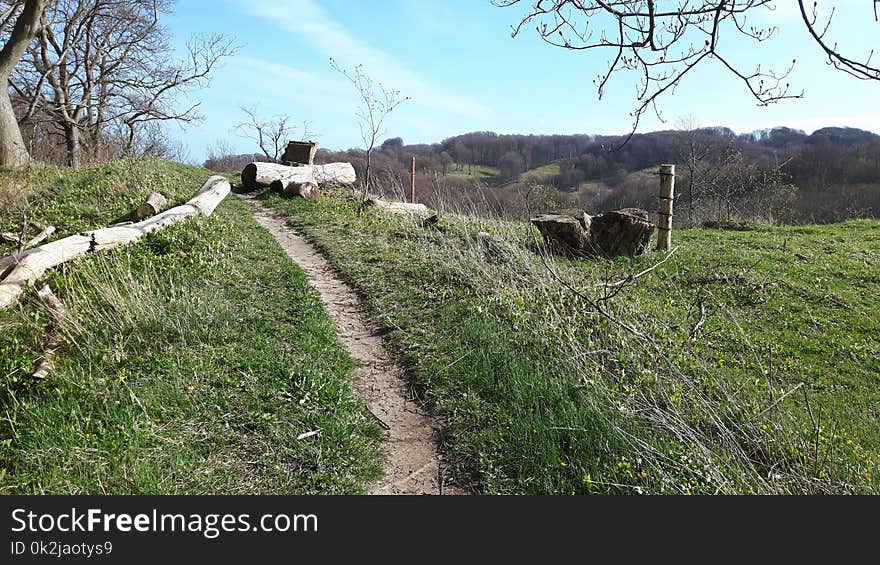 Nature Reserve, Rural Area, Grass, Village