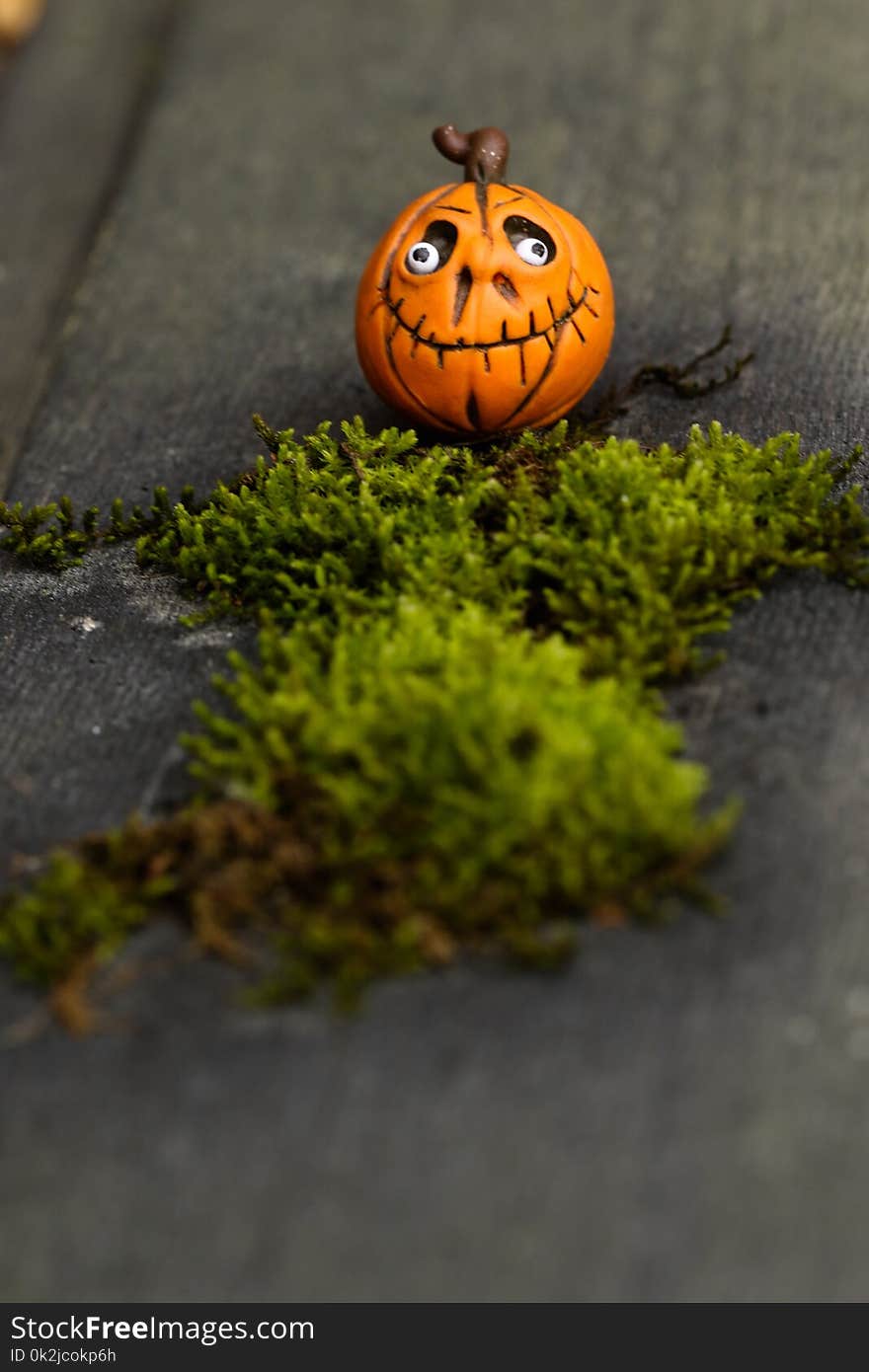 Pumpkin, Grass, Orange, Halloween