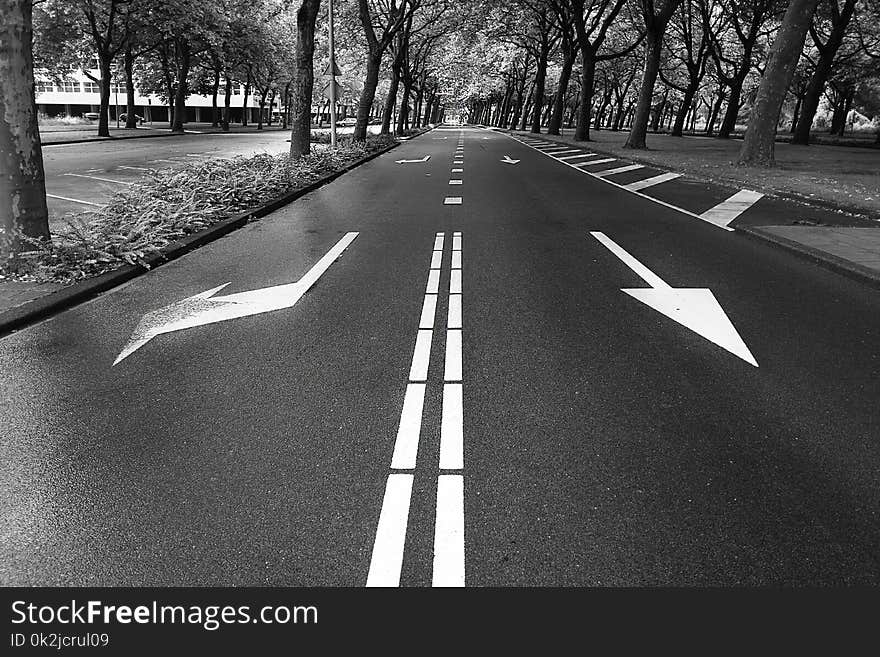 Road, Lane, Asphalt, Black And White