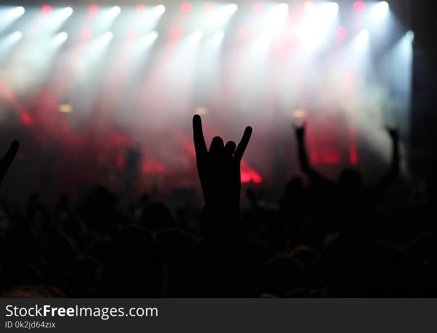 Crowd, People, Rock Concert, Concert