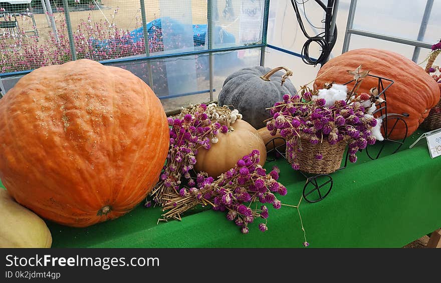 Vegetable, Winter Squash, Local Food, Pumpkin