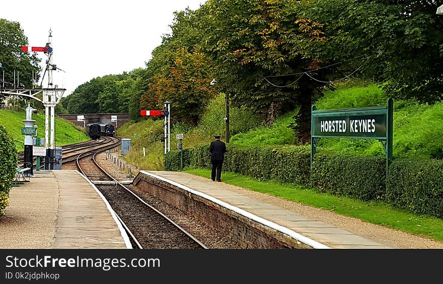 Track, Transport, Path, Tree