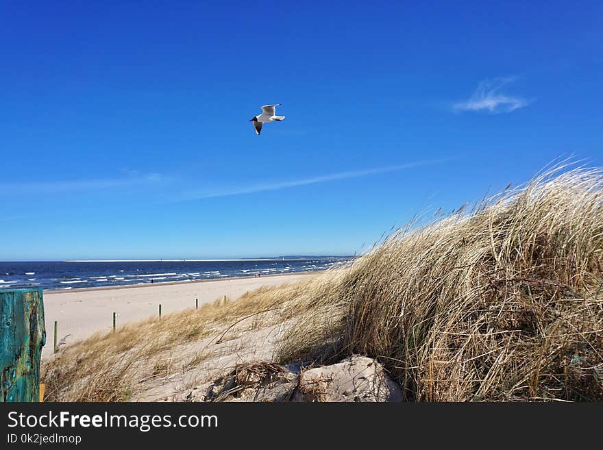 Sky, Coast, Sea, Shore