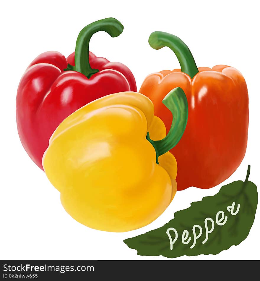 Multi-colored mature peppers on a white background.