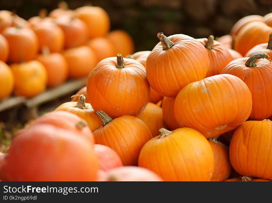 Decorative orange pumpkins on display at the farmers market in Germany. Orange ornamental pumpkins in sunlight.