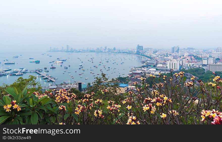 The most beautiful Viewpoint Pattaya Beach in Pattaya city Chonburi,Thailand.