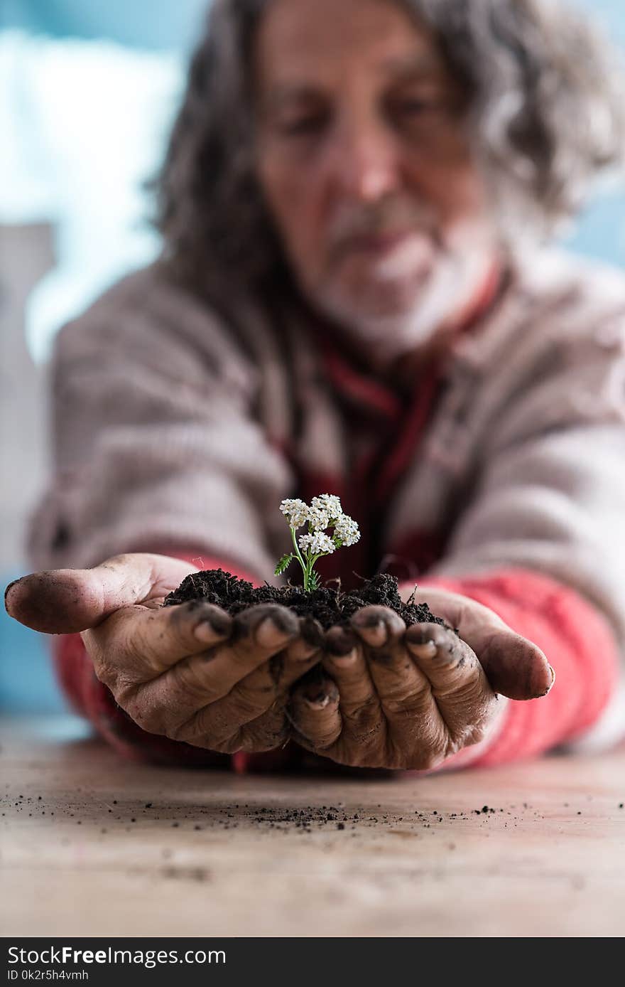 Senior man holding a dainty flower in rich soil