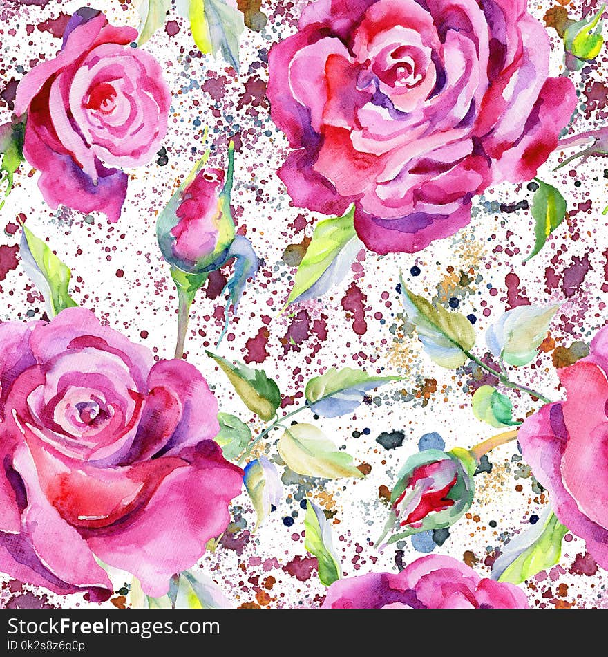 Wildflower rose flower pattern in a watercolor style. Full name of the plant: rose, rosa, hulthemia. Aquarelle wild flower for background, texture, wrapper pattern, frame or border.