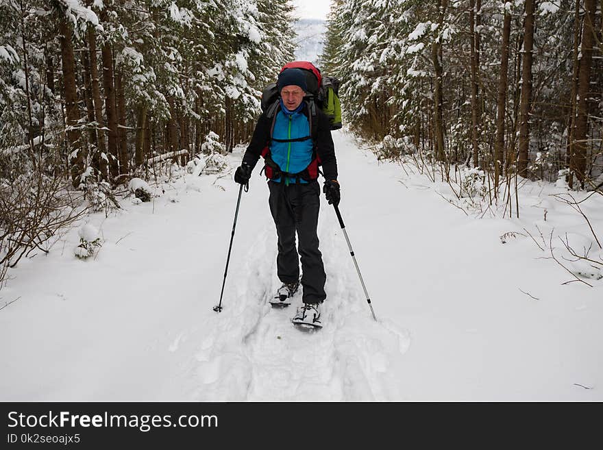 Hiker, With Big Backpack, Is Walking In Snowshoes