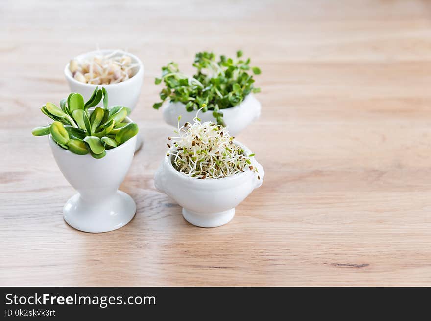 Different types of micro greens in white bowls for sauces on wooden background.Fresh garden produce organically grown, symbol of health and vitamins. Microgreens ready for cooking. Copyspace for text. Different types of micro greens in white bowls for sauces on wooden background.Fresh garden produce organically grown, symbol of health and vitamins. Microgreens ready for cooking. Copyspace for text.