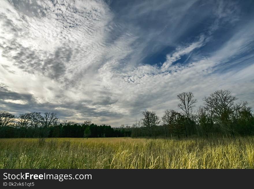 Green Grass Under Blue and White Sky at Daytime