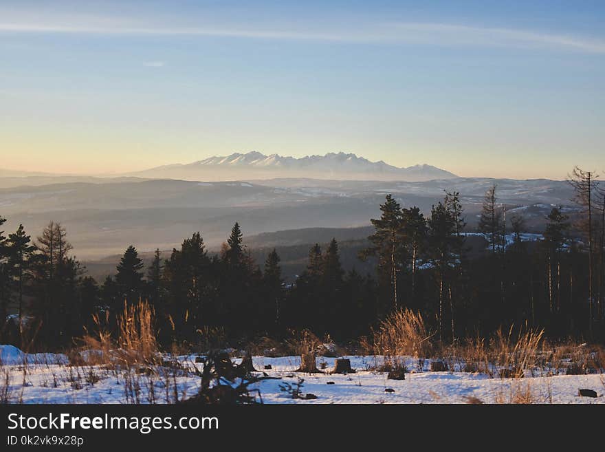 Mountain Near Green Leaf Trees