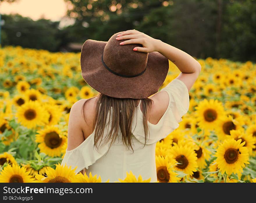 Photo of Woman in a Sunflower Field