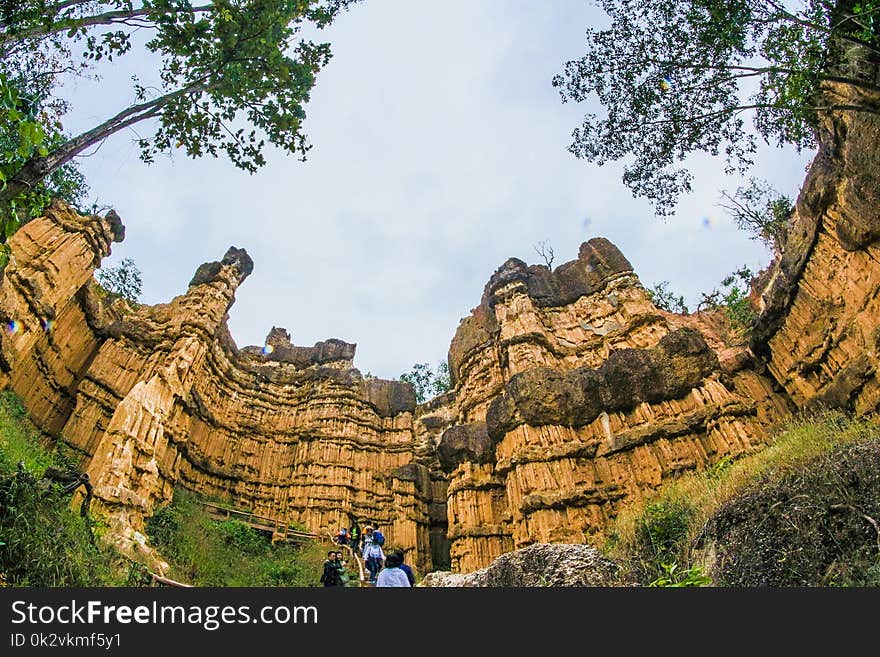 Low Angle View of Brown Ruins Near Green Leaf Trees