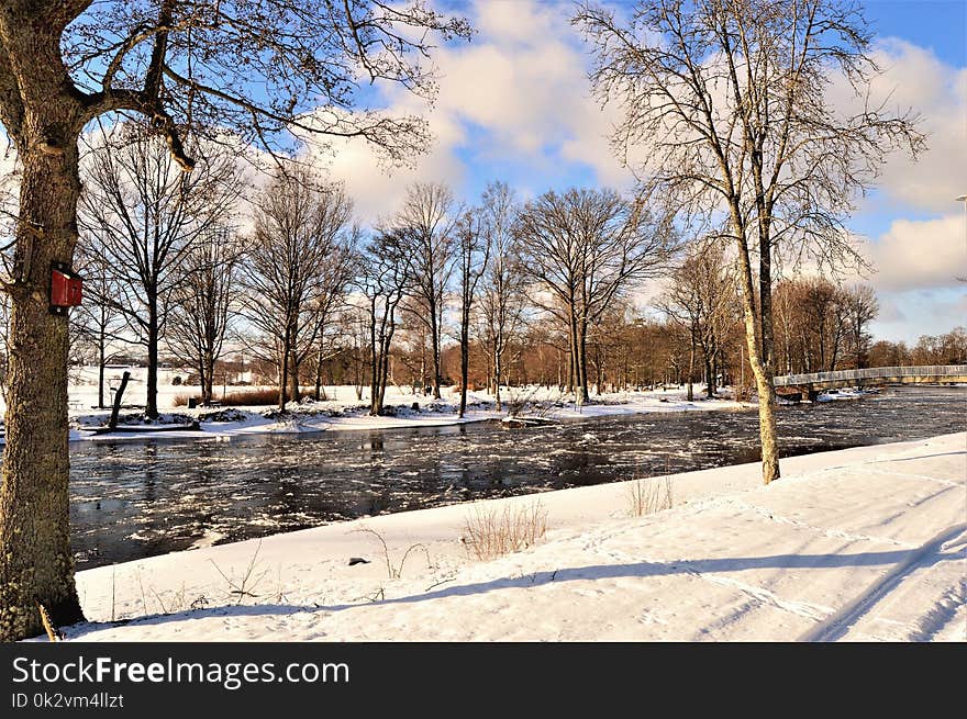 Photography of Bare Trees Near River