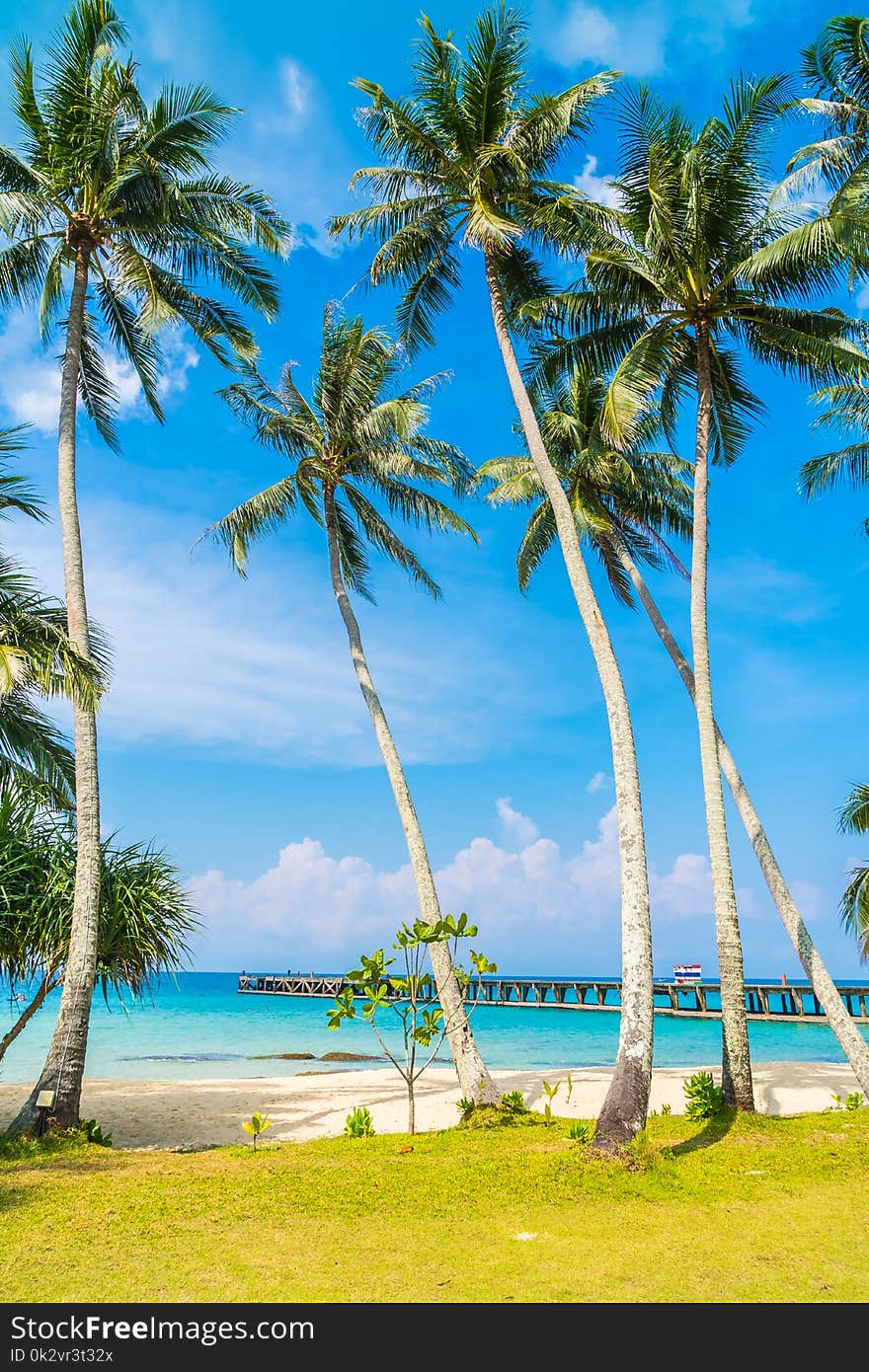 Beautiful tropical beach and sea