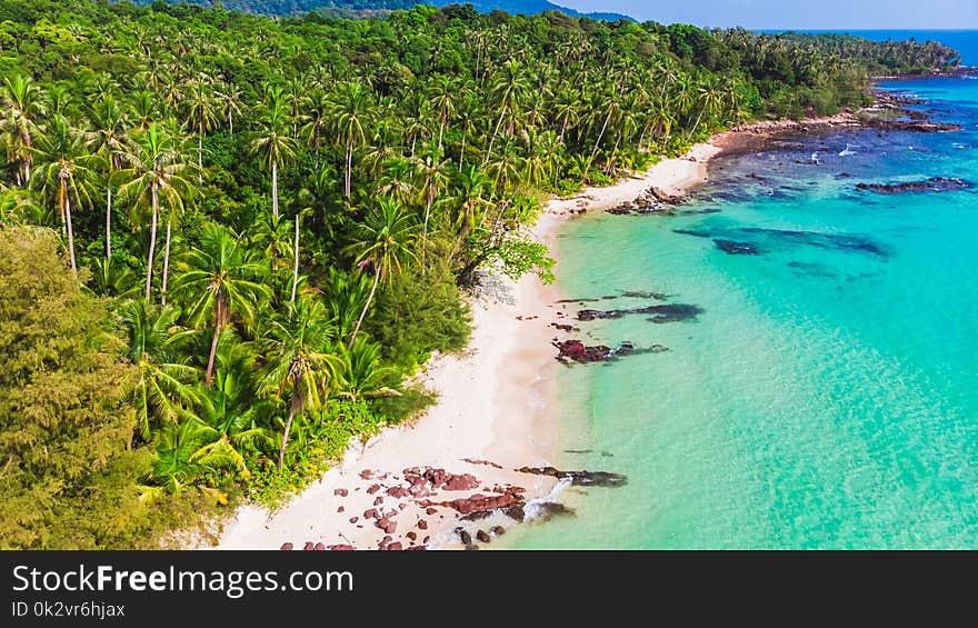 Aerial view of beautiful beach and sea with coconut palm tree