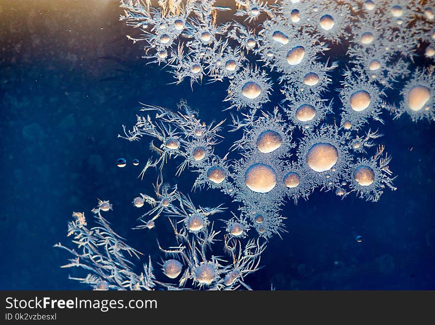 Figures on the glass from the frost at sunrise as a background .