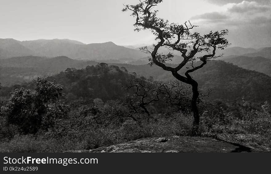 Periyar tiger reserve