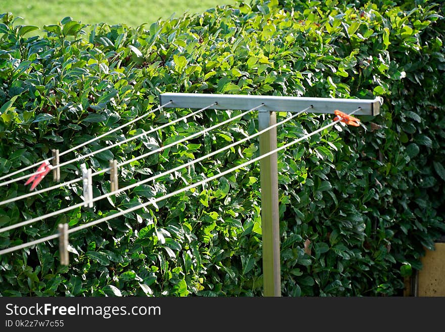 Clothesline with clothespins in garden in sunny day, fresh clean background