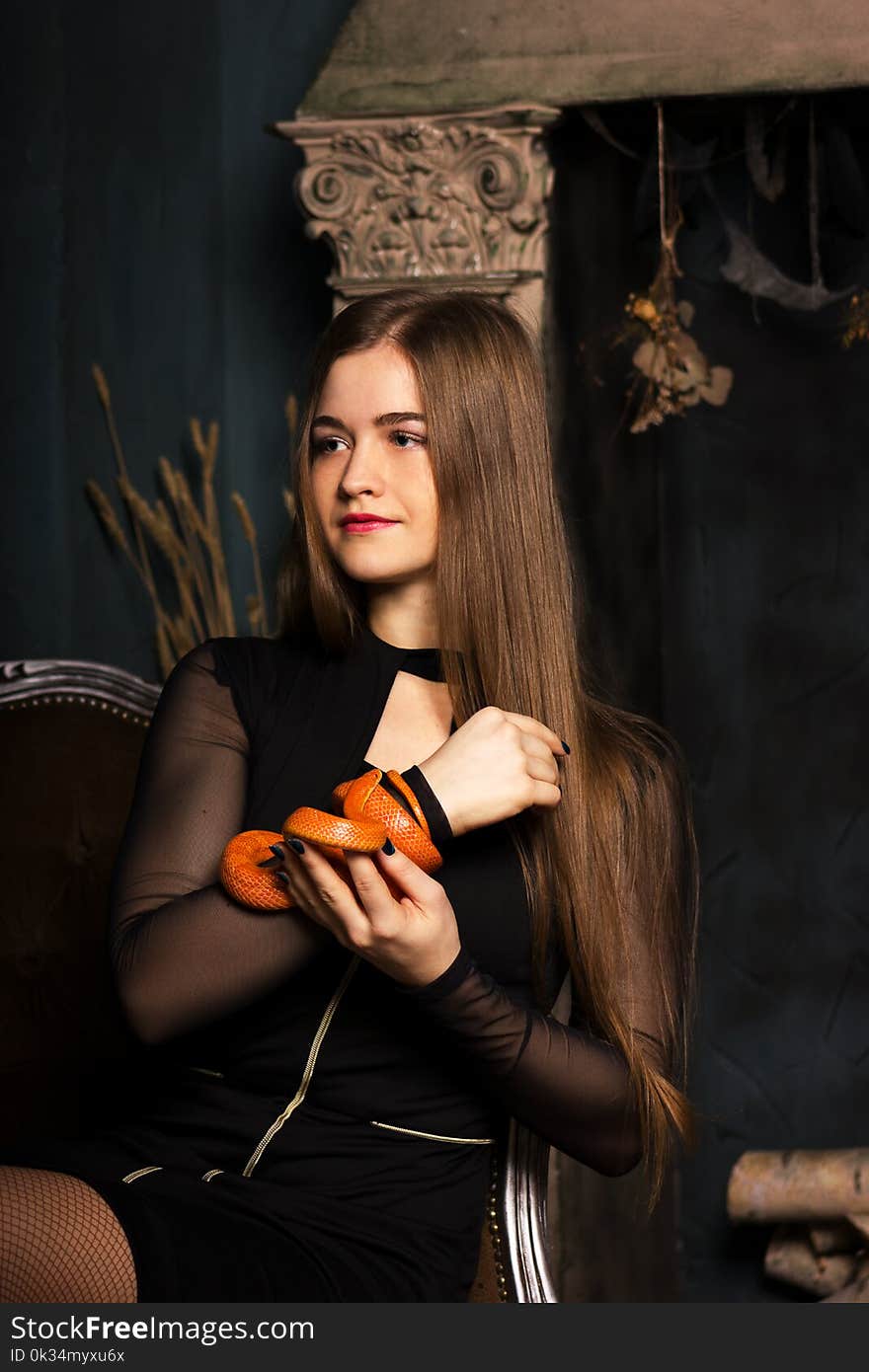 Beautiful young woman in black dress sits on a chair with orange corn snake and looks forward. Beautiful young woman in black dress sits on a chair with orange corn snake and looks forward