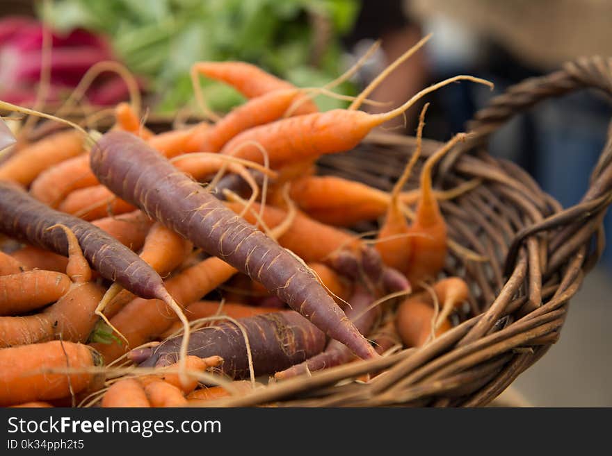 Rustic fresh organic carrots shallow depth of field. Rustic fresh organic carrots shallow depth of field